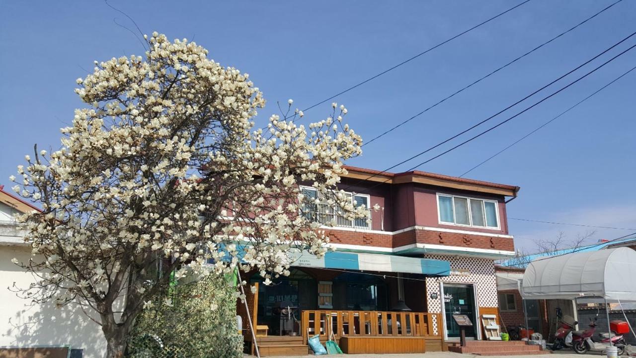 The Guesthouse Dmz Stay Paju Exterior photo